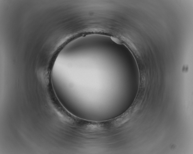 X0000094790160200711161442