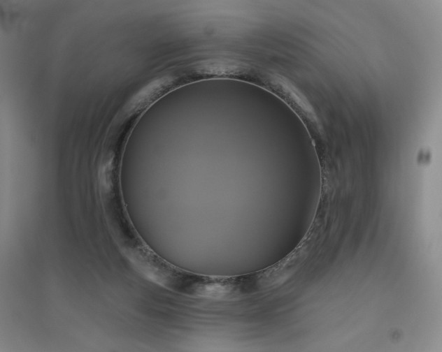 X0000094790163200711161442