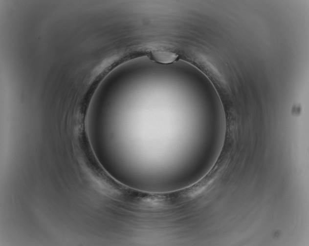 X0000094790164200711161442