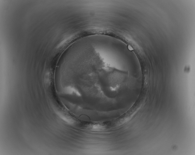 X0000094790165200711161442