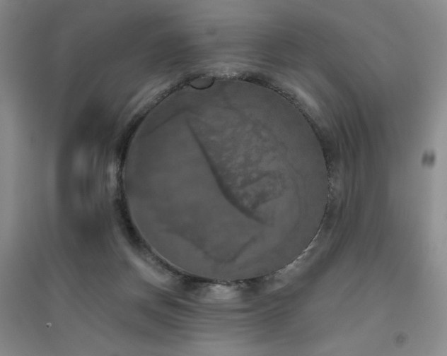 X0000094790166200711161442