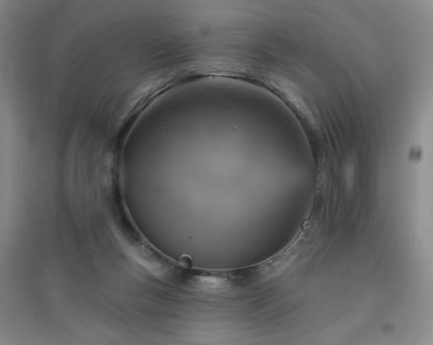 X0000094790167200711161442