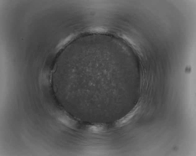 X0000094790168200711161442