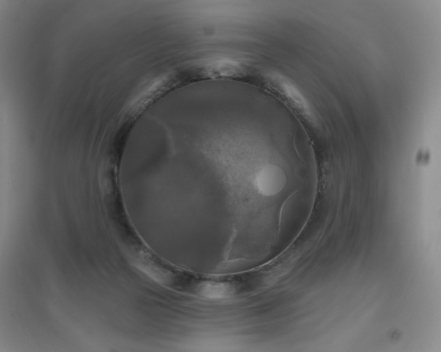 X0000094790169200711161442