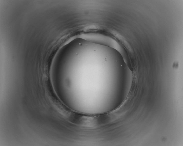 X0000094790170200711161442