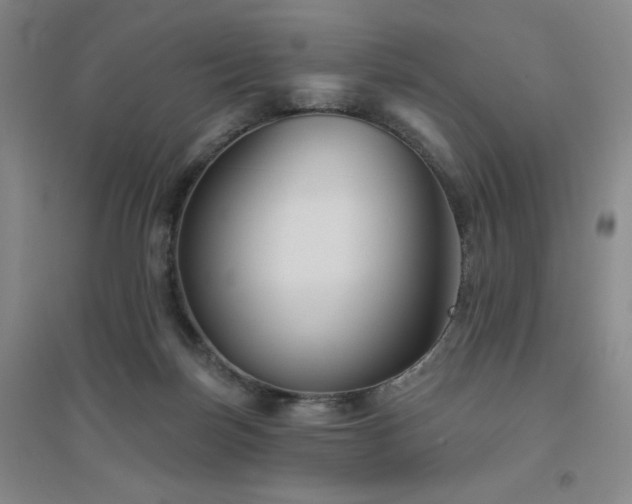 X0000094790171200711161442