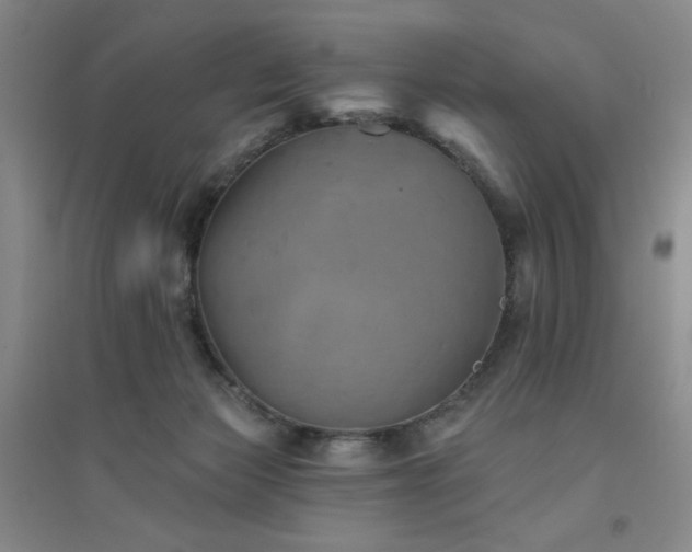 X0000094790173200711161442