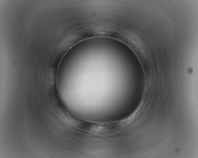 X0000094790174200711161442