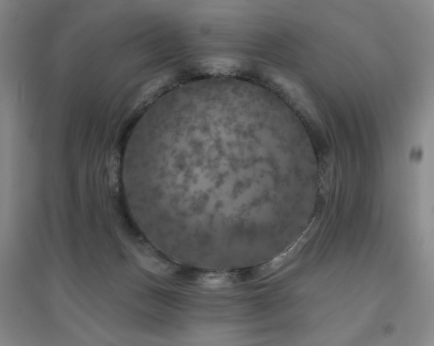 X0000094790175200711161442