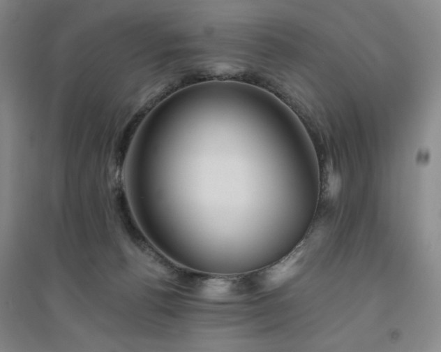 X0000094790176200711161442