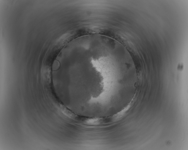 X0000094790178200711161442