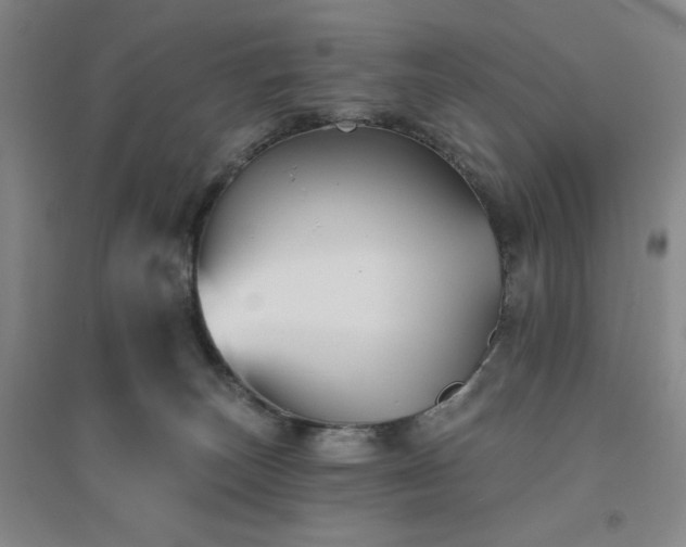 X0000094790179200711161442