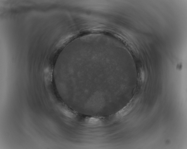 X0000094790180200711161442