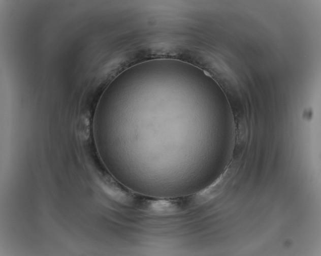 X0000094790183200711161442