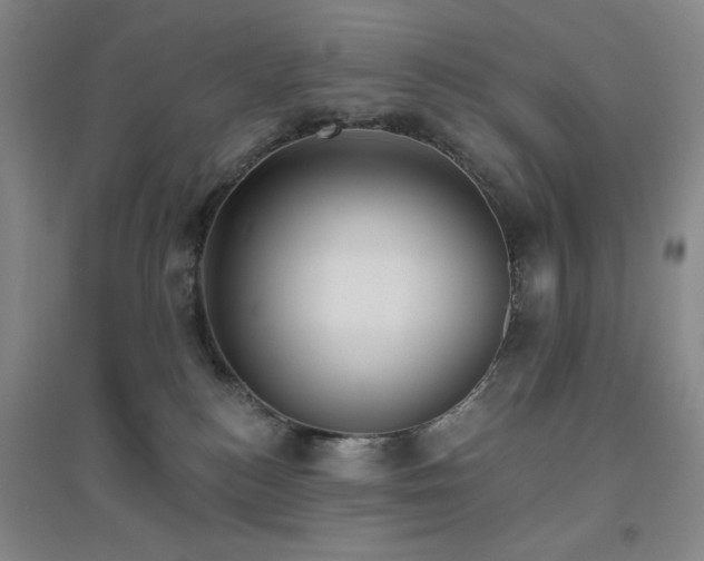 X0000094790184200711161442