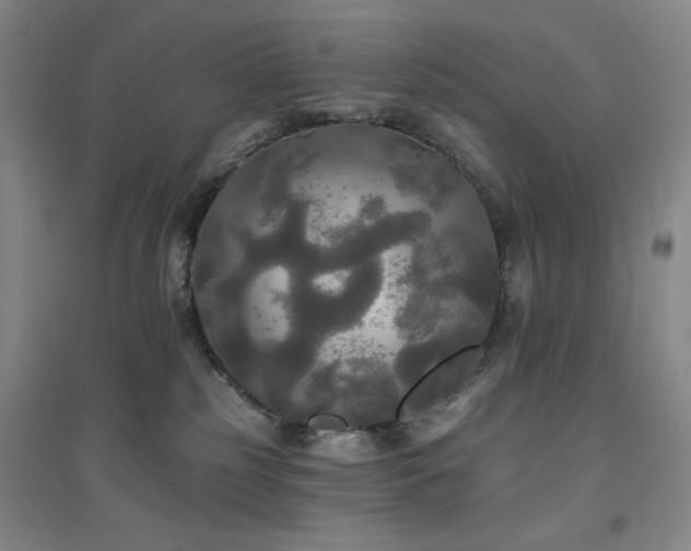 X0000094790185200711161442