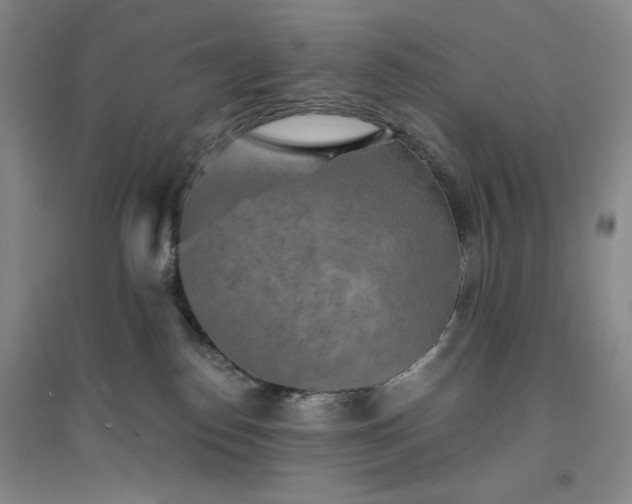 X0000094790186200711161442