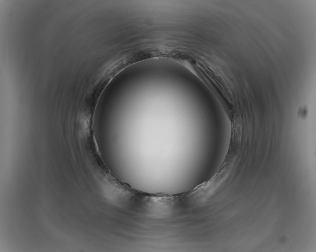 X0000094790188200711161442