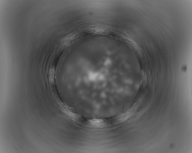 X0000094790189200711161443