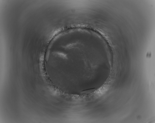 X0000094790192200711161443