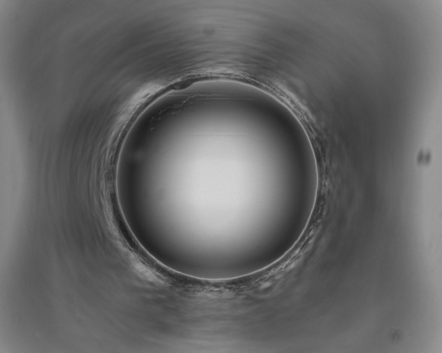 X0000094790193200711161442