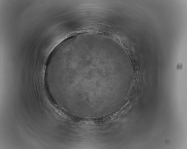 X0000094790194200711161442