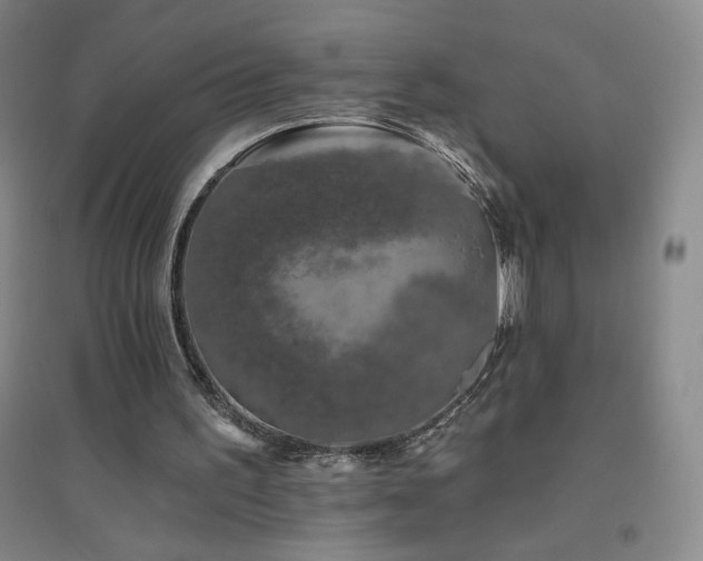 X0000094790195200711161442