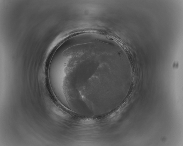 X0000094790198200711161442