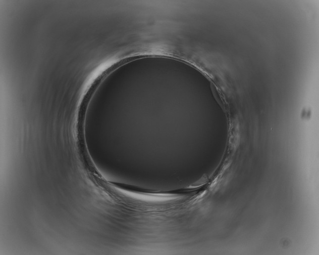 X0000094790200200711161442