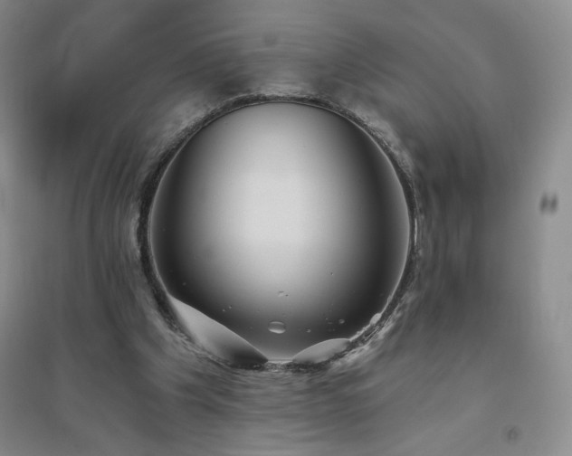 X0000094790201200711161442