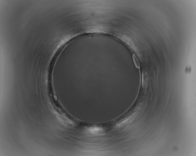 X0000094790204200711161442