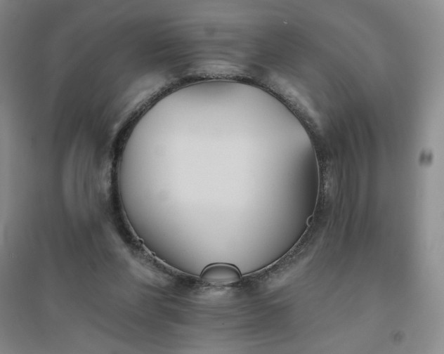 X0000094790206200711161442