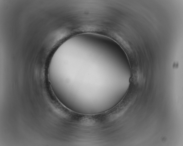 X0000094790207200711161442