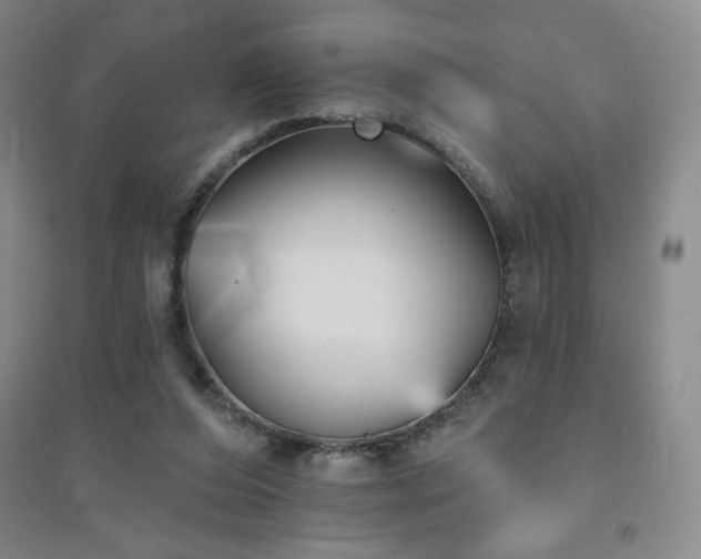 X0000094790208200711161442