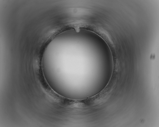 X0000094790210200711161441