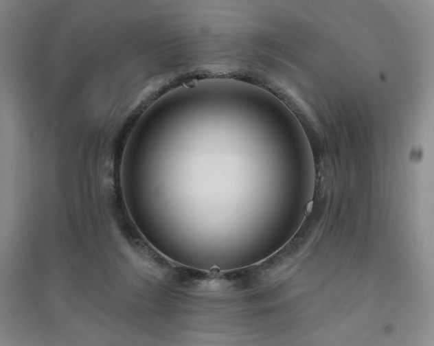 X0000094790212200711161441