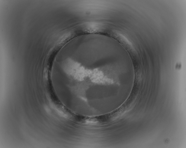 X0000094790214200711161441