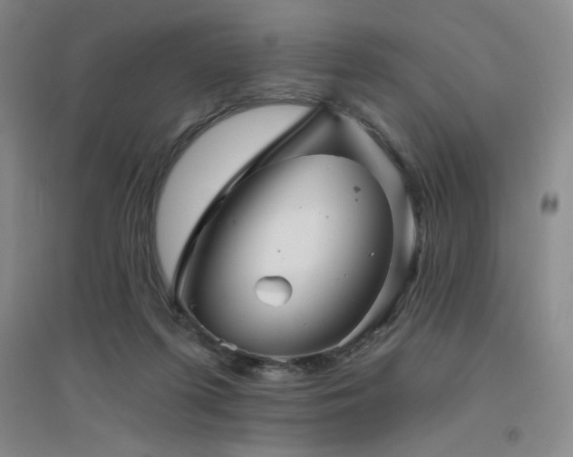 X0000094790215200711161441