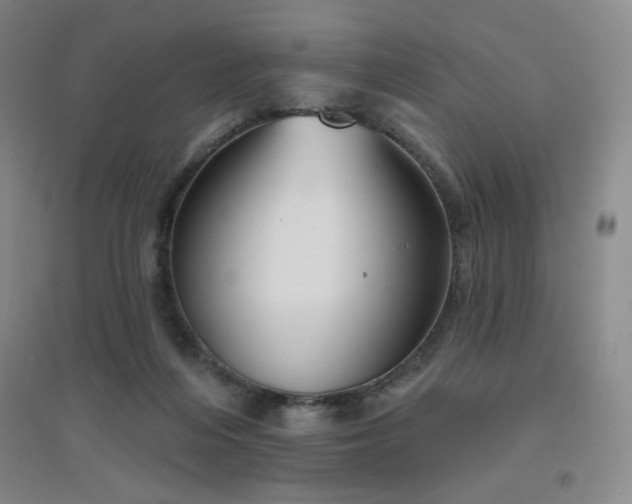 X0000094790216200711161441