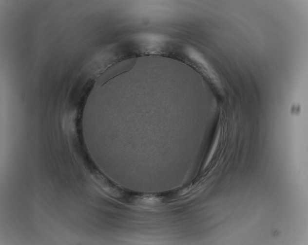 X0000094790217200711161441