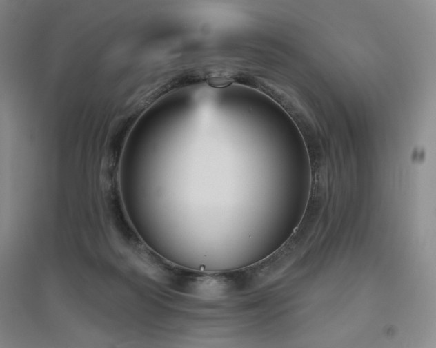 X0000094790218200711161441