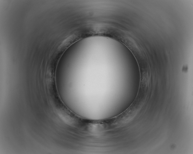 X0000094790220200711161441