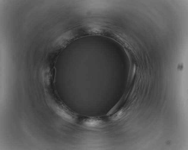 X0000094790223200711161441