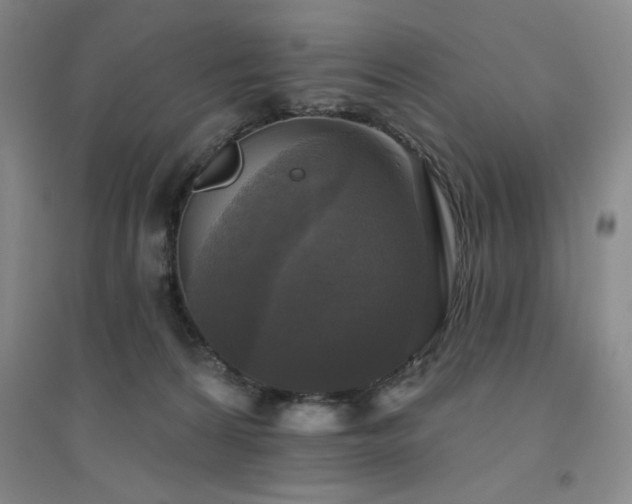 X0000094790224200711161441