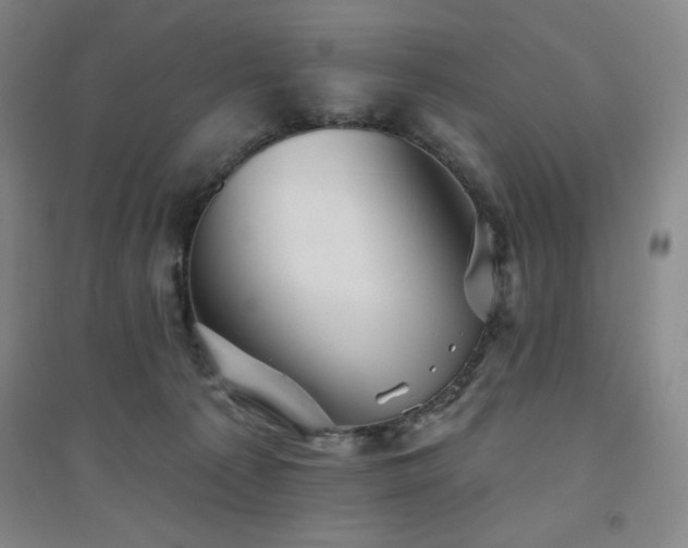 X0000094790225200711161441