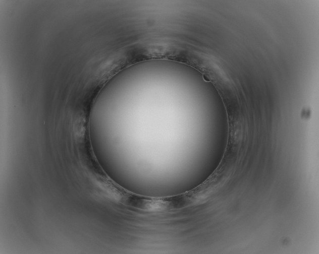 X0000094790226200711161441