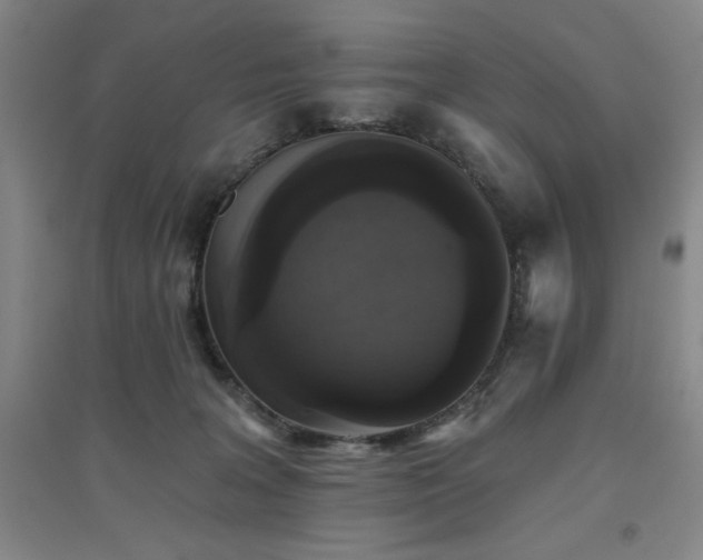 X0000094790227200711161441