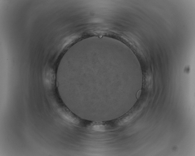 X0000094790228200711161441