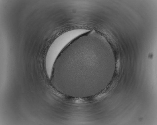 X0000094790229200711161441