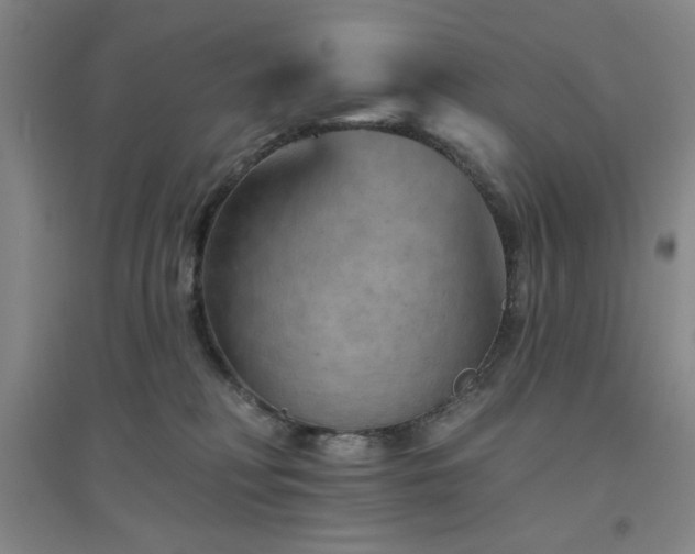 X0000094790230200711161441